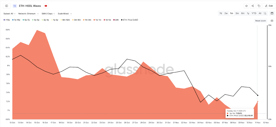 Краткосрочные когорты сбрасываются | Источник: Гласснод