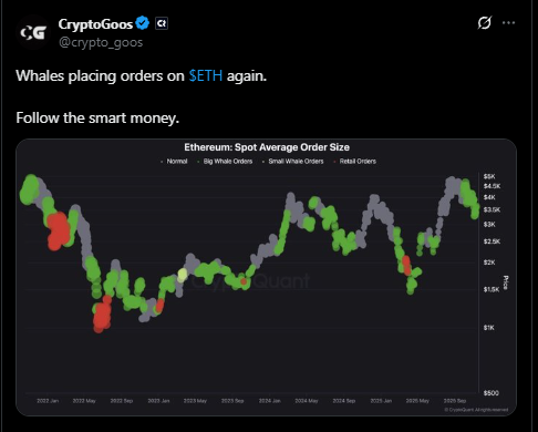 Сможет ли цена Ethereum удержаться на уровне 3200 долларов, пока Binance и BlackRock продадут?
