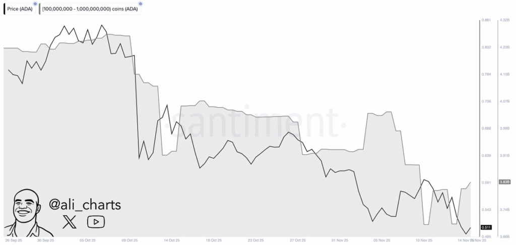 Киты продают ADA | Источник: Х