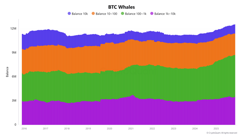 Капитуляция Биткойна (BTC USD) ниже 90 тысяч долларов запускает новую волну ликвидации