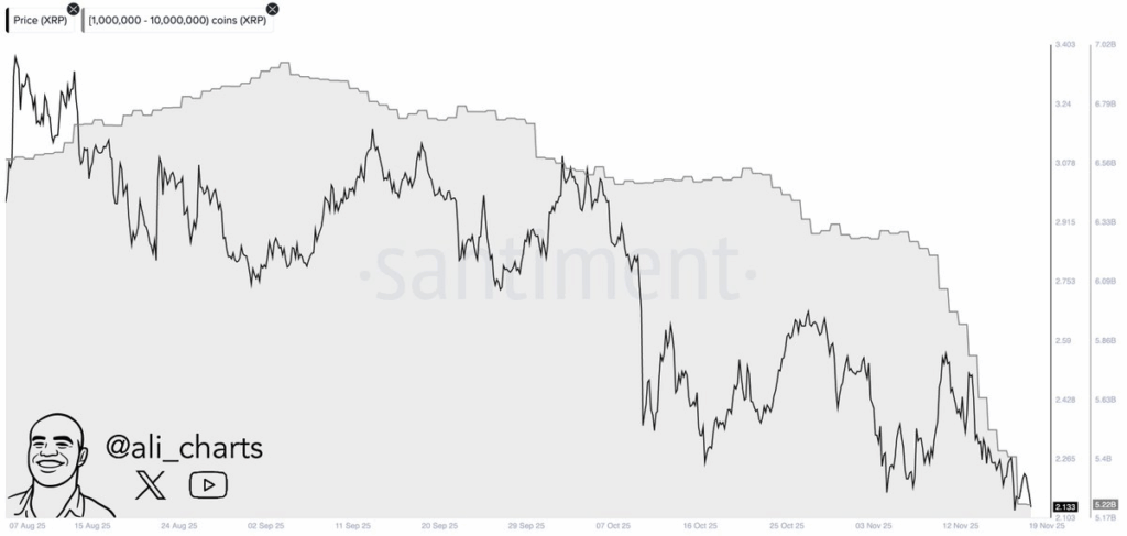 Ripple Киты сбросили XRP | Источник: Х