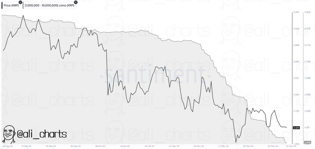 Ripple (XRP) Whale Selloff | Source: Ali Martinez, X