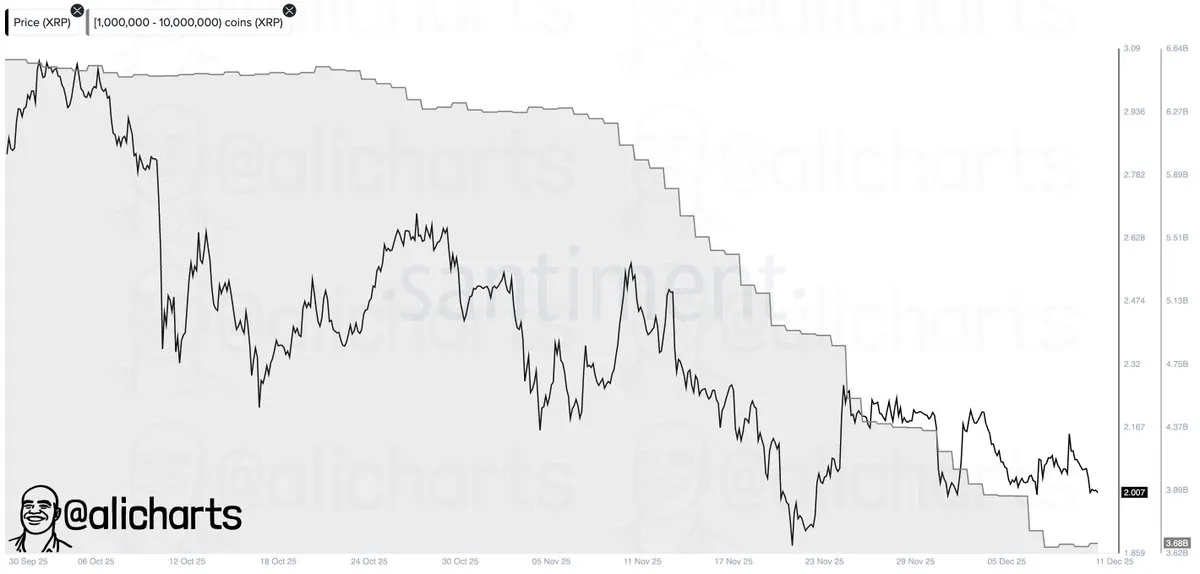 XRP Price Risks Falling to $1.2 as Ripple Whales Dump 280M Coins, What’s Next?