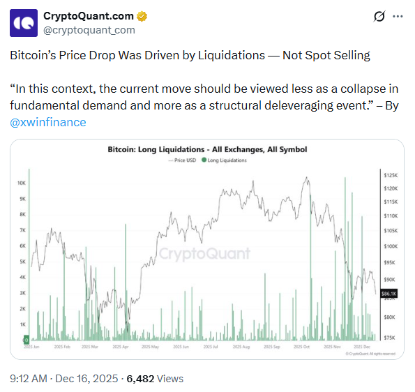 Bitcoin Price Crash Analysis | Source: CryptoQuant