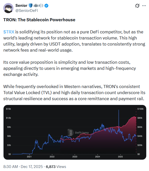 The Tron Stablecoin Advantage | Source: Senior DeFi