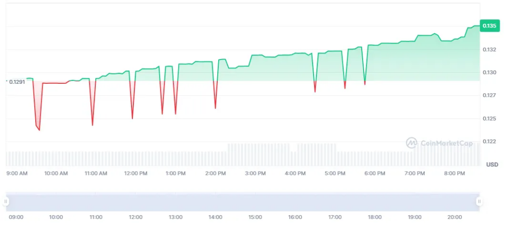 NYC Token Price | Source: CoinMarketCap