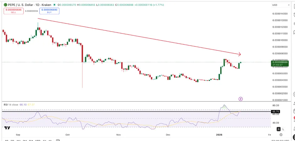 Weakening Momentum | Source: TradingView