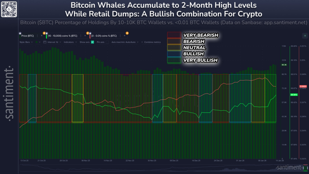 Bitcoin Whale & Retail Investors Movement | Source: Santiment, X