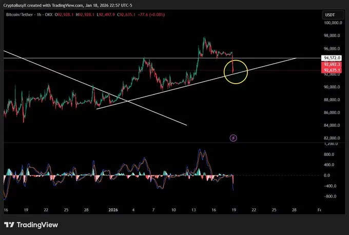Bitcoin Price Chart | Source: CryptoBusy
