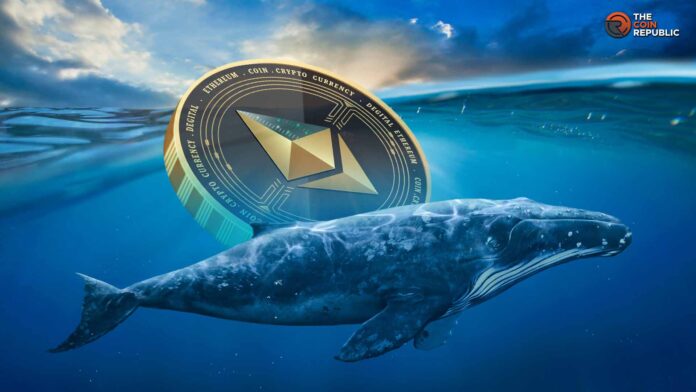 El precio del Ethereum apunta a la zona de recuperación tras una compra de 5.818 ETH por parte de una «ballena» precio de Ethereum, ballenas de Ethereum, acumulación de ballenas