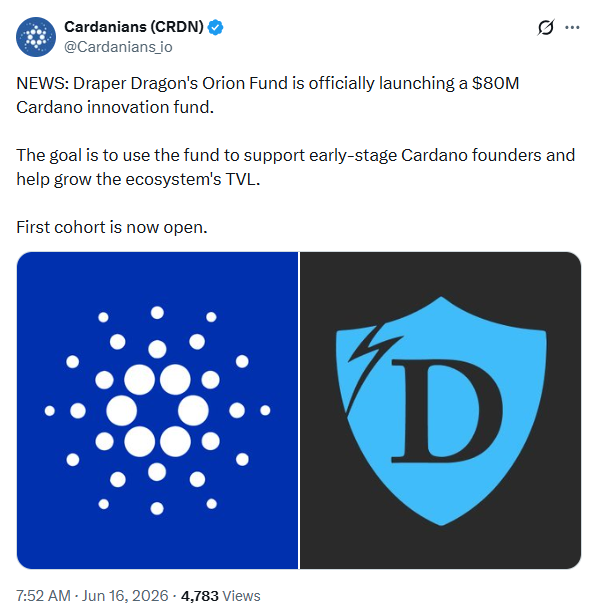 صندوق «أوريون» التابع لتيم درابر يراهن على كاردانو | المصدر: Cardanians