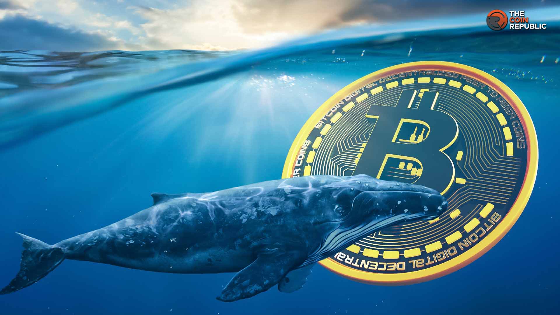 Bitcoin Price Holds Support as Whale Orders Split Market