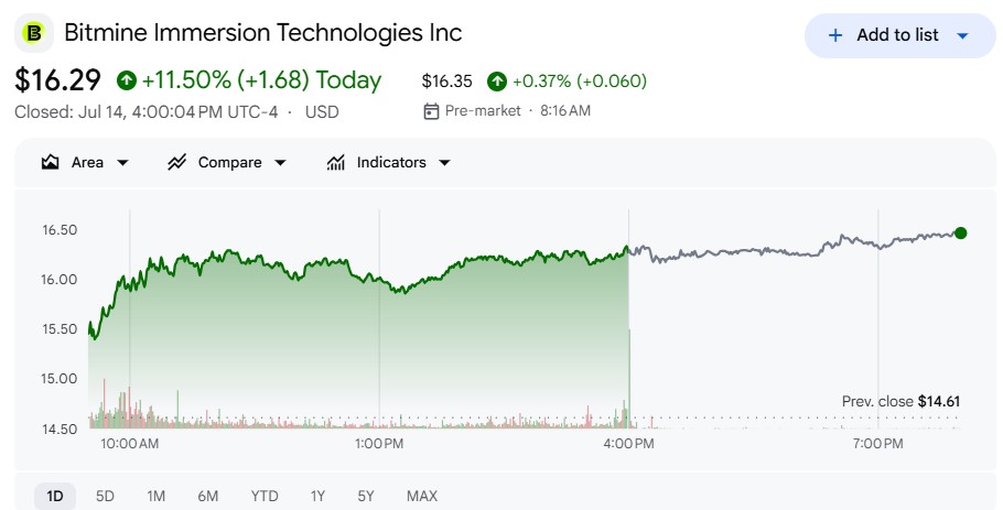 BitMine Stock Outlook | Source: Google Finance