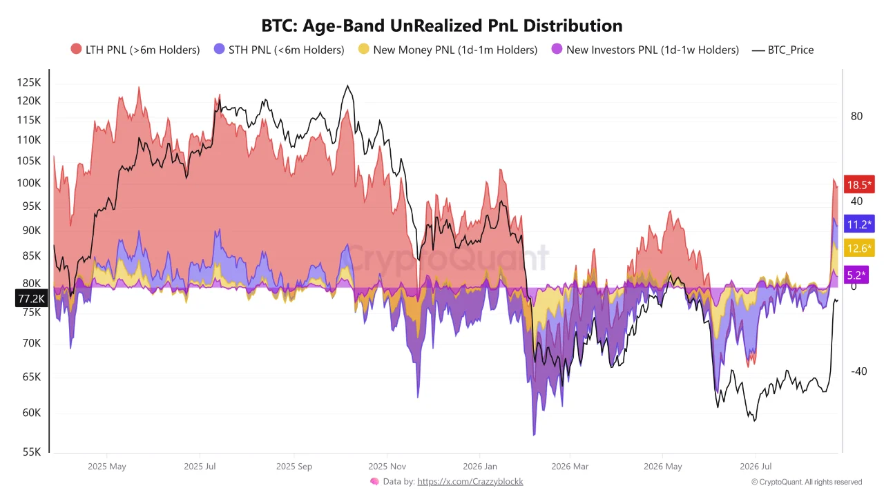 Bitcoin age band unrealized pnl distribution. Source: CryptoQuant