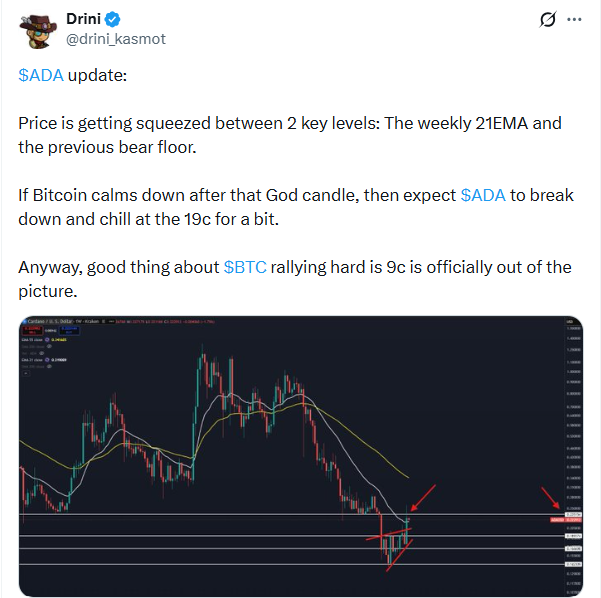 Cardano Price Analysis | Source: Drini