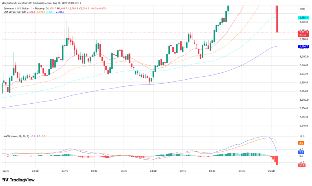 Ethereum Price Chart | Source. TradingView