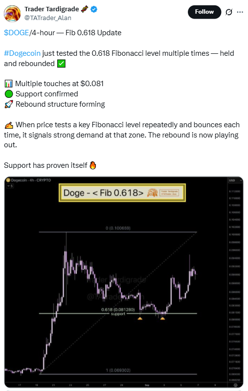 Dogecoin Price Update | Source: Trader Tardigrade