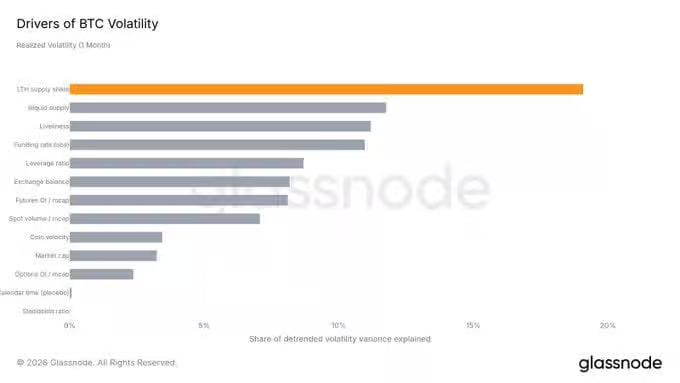 Drivers of Bitcoin (BTC) Volatility | Source: Glassnode.
